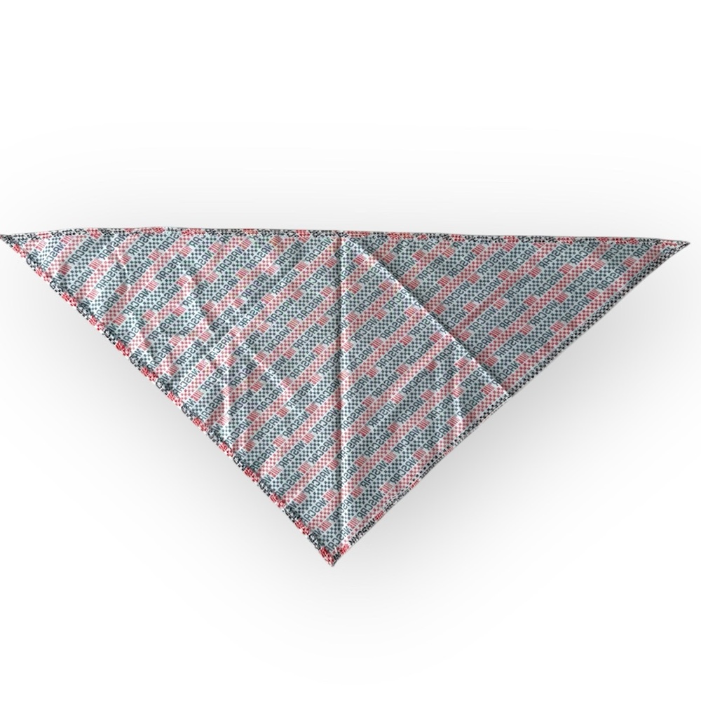 Handmade Nascar Bandana - Picture 3 of 3